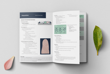 Load image into Gallery viewer, Amputation - Pocket Field Guide
